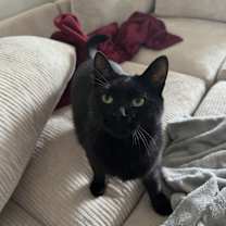 Thumbnail photo of Bubby #4