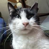 Thumbnail photo of Monroe #2