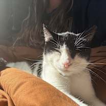 Thumbnail photo of Monroe #3