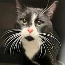 Thumbnail photo of Jonas Mugglez #1