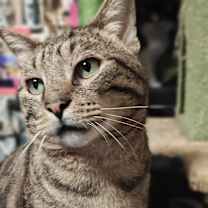 Thumbnail photo of Grover #2