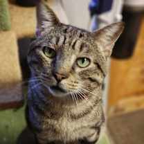 Thumbnail photo of Grover #3