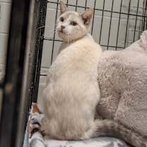 Thumbnail photo of Winnie #1