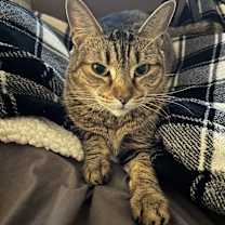 Thumbnail photo of Lola #1