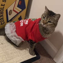 Thumbnail photo of Lola #3