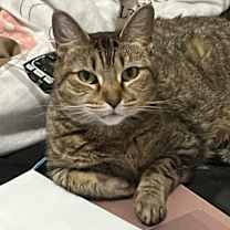 Thumbnail photo of Lola #4