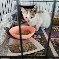 Thumbnail photo of Nichole EJS #2