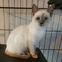 Thumbnail photo of Autumn EJS #1