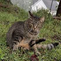 Thumbnail photo of Sandy #2