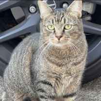 Thumbnail photo of Sandy #3