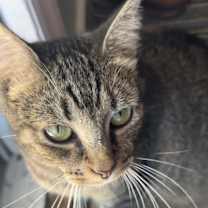 Thumbnail photo of Sandy #4