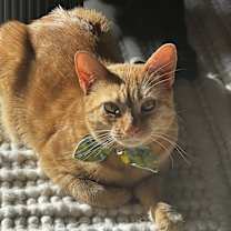 Thumbnail photo of Wendy #1