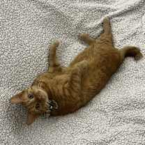 Thumbnail photo of Wendy #2