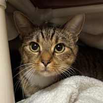 Thumbnail photo of Baby #1