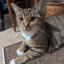 Thumbnail photo of Baby #2