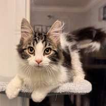 Thumbnail photo of Ben #1