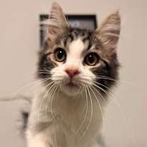 Thumbnail photo of Ben #2