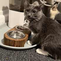 Thumbnail photo of Grayson Raye #1