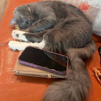 Thumbnail photo of Grayson Raye #2