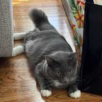 Thumbnail photo of Grayson Raye #3