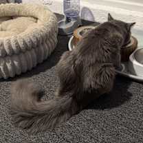 Thumbnail photo of Grayson Raye #4