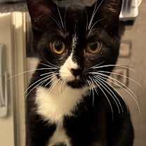 Thumbnail photo of Jim #3