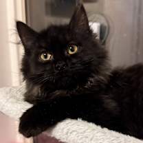 Thumbnail photo of Janne #2