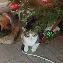 Thumbnail photo of Fumi #2