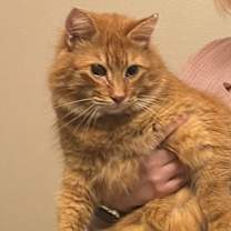 Thumbnail photo of Chance #2