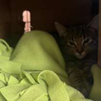 Thumbnail photo of Rockey 2025 #2