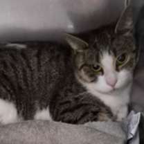 Thumbnail photo of Holidaylights #1