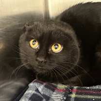 Thumbnail photo of Tiana #2