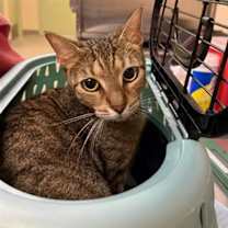 Thumbnail photo of SPARKLES #2