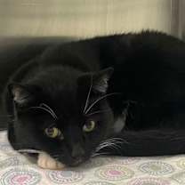 Thumbnail photo of Lilly #1