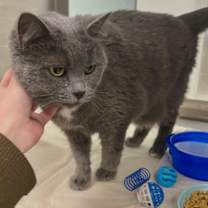 Thumbnail photo of Ruby #2