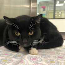 Thumbnail photo of Lilly #2