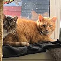 Thumbnail photo of Ron + Guillermo! #1