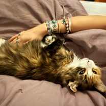 Thumbnail photo of Fluffy Mama <3 #2