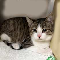 Thumbnail photo of Luanne #1