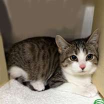 Thumbnail photo of Luanne #2