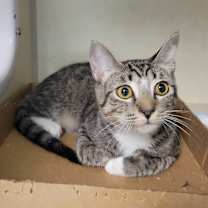 Thumbnail photo of LoveShack #3