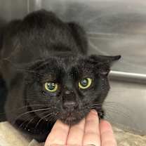 Thumbnail photo of Days #1