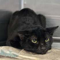 Thumbnail photo of Days #3