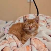 Thumbnail photo of Gumdrop #1