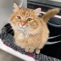 Thumbnail photo of Moe Moe #1