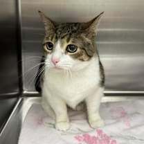 Thumbnail photo of Baby #3