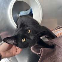 Thumbnail photo of Horchata #2