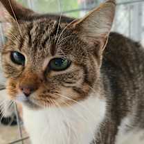 Thumbnail photo of Baby  #1