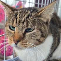 Thumbnail photo of Baby  #4