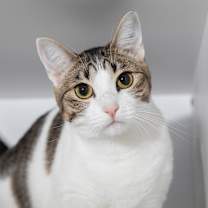 Thumbnail photo of Ruth #1